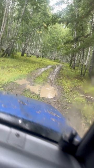 Сузуки эскудо -синий квадрат