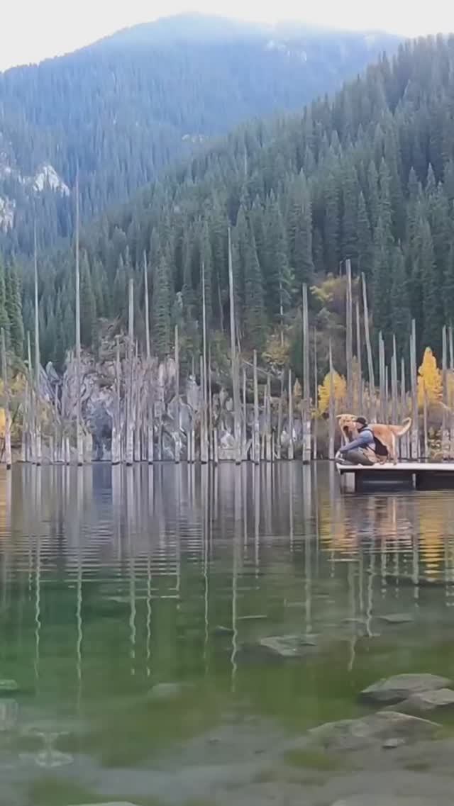 Озеро Каинды (Кайынды). Ущелье Чон-Уректы. Тянь-Шань. Казахстан смотреть онлайн