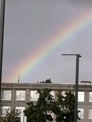 Песня радуга