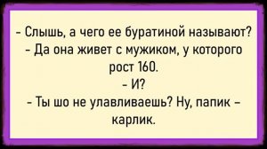 Как секретарша повышение получала! Сборник свежих анекдотов! Юмор