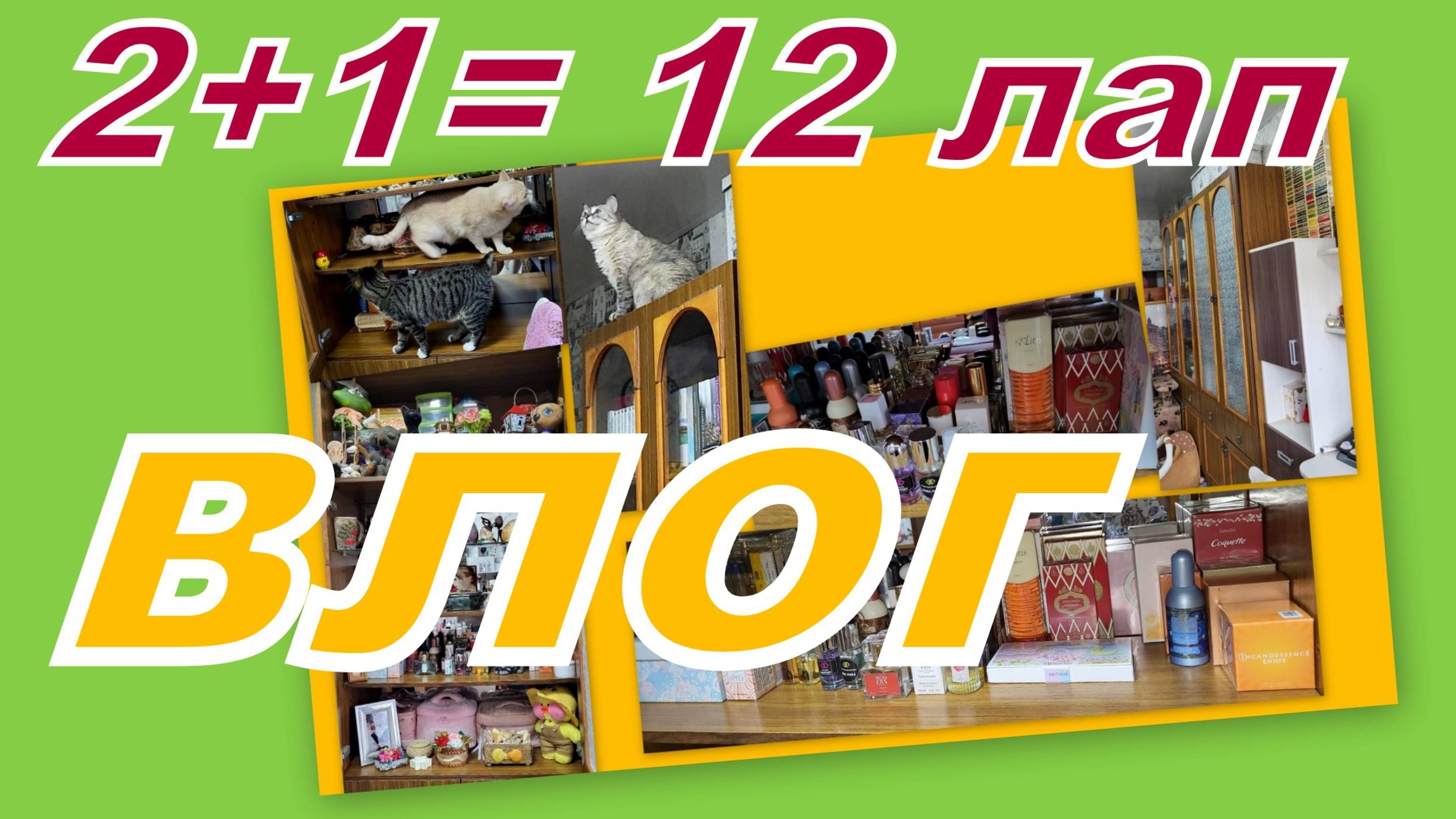 ВЛОГ: НОВОЕ ХРАНЕНИЕ АРОМАТОВ, РАСШИРЯЕМ ГРАНИЦЫ, УБОРКА ПОЛНЫМ ХОДОМ! смотреть онлайн