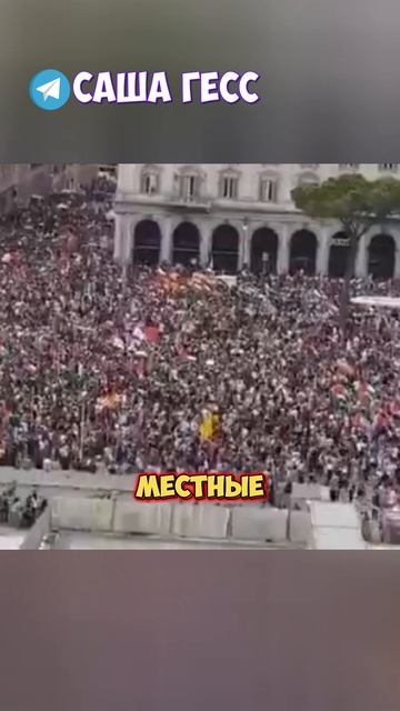ПРОПАЛЕСТИНСКИЕ МИТИНГИ смотреть онлайн