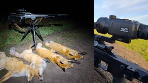 Охота на лисицу!!! Начало сезона в Сибири!!! Тепловизионный прицел RikaNV Lesnik2 650L