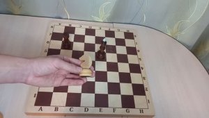Шахматная тактика. Шахматные ловушки