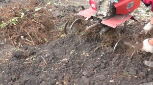 Фрезы каракатицы,новые испытания.2025.