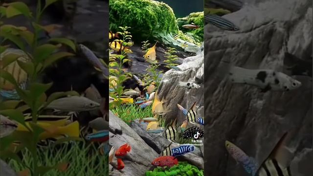 V09044g40000cg8eq9bc77ub9m3tpipg