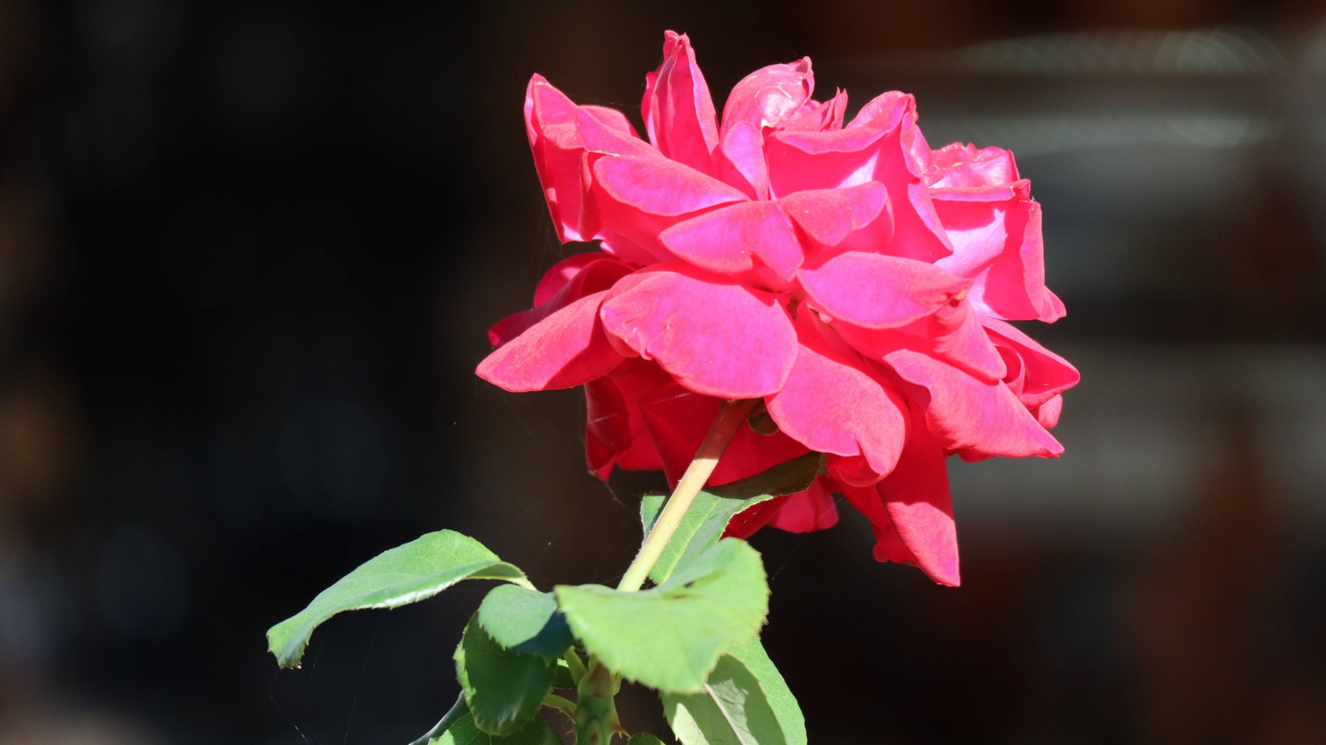 24 СЕНТЯБРЯ. АРХИПО-ОСИПОВКА. МОРЕ, ПЛЯЖ, ЗАКАТ. смотреть онлайн