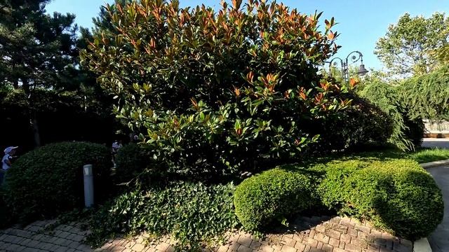 СочиПарк смотреть онлайн