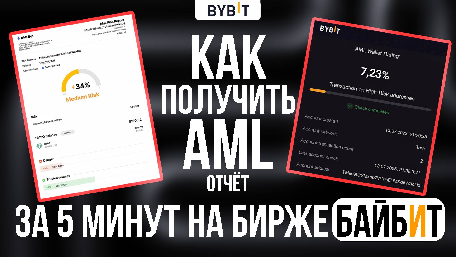 КАК ПОЛУЧИТЬ AML ОТЧЁТ НА Bybit Web3 Wallet? Как проверить крипту на байбит?