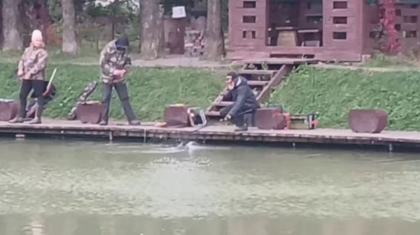 -5213005656594807590