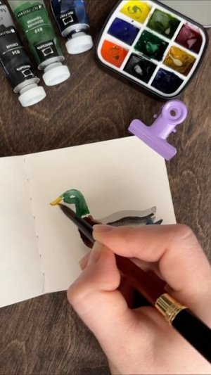 селезень #акварель #рисунок #скетчбук