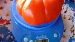 Сорт"Горы Ливанские" 1030 г