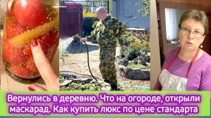 Вернулись в деревню. Что на огороде. Открыли маскарад. Как купить люкс по цене стандарта