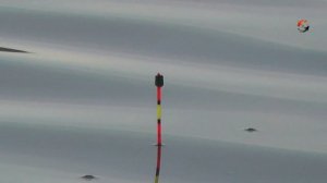 Некрасовка, Чёрное (БЕДРИНСКОЕ) озеро, ЛОВЛЯ КАРАСЯ на Поплавок. Рыбалка. Fishing