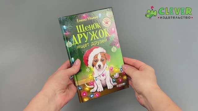 Пушистые истории. Щенок Дружок ищет друзей смотреть онлайн