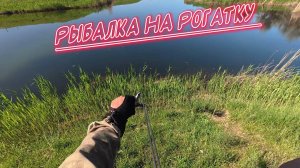 Рыбалка на Рогатку - Slingshot Fishing #охотасрогаткой #2025 #top #headshot #змееголов #fishing #1m
