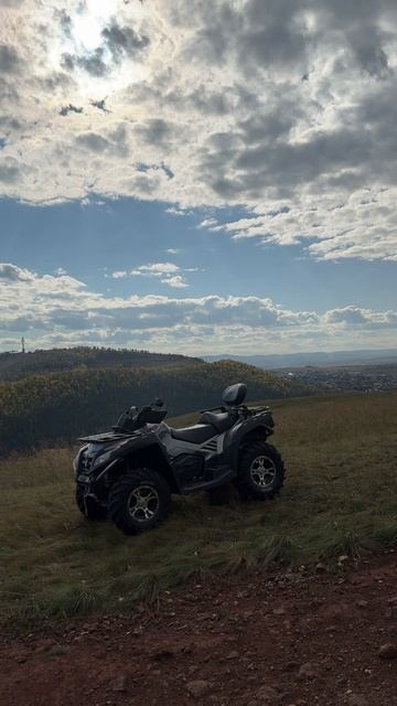Дрокинска гора смотреть онлайн