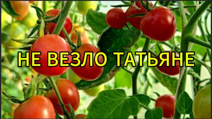 Не везло Татьяне в жизни смотреть онлайн