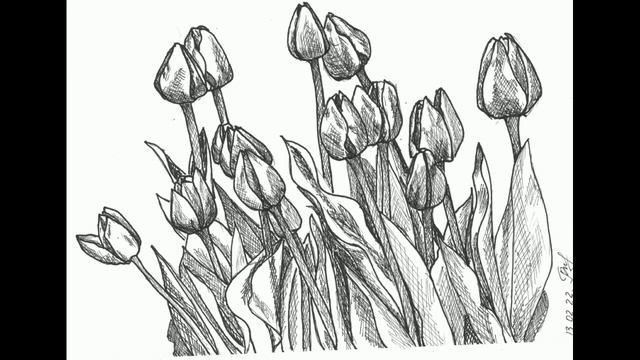 Рисунки линером цветы - Liner drawings of flowers смотреть онлайн