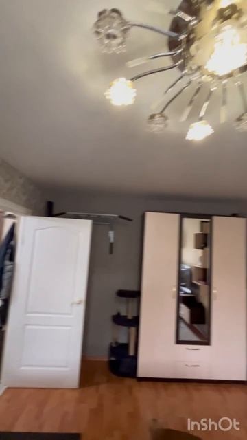 Тарамалы смотреть онлайн