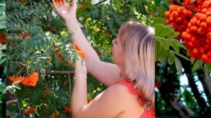 Осеннее настроение