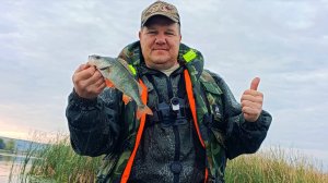 Отводной поводок. Окунь клюет на каждой проводке.