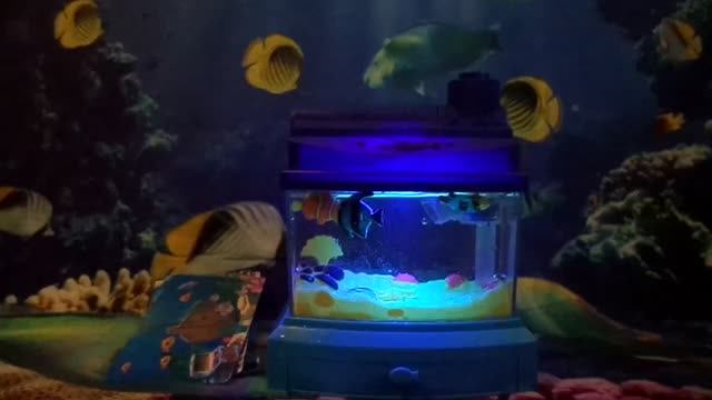 Обзор на Аквариум из Фикс Прайса смотреть онлайн