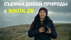 Тест Nikon ZR на съёмке дикой природы