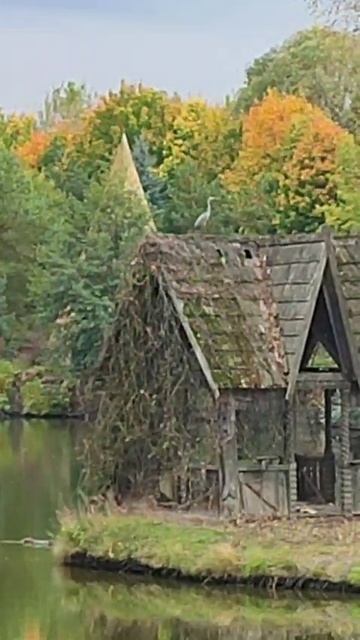 Виды в Креатово