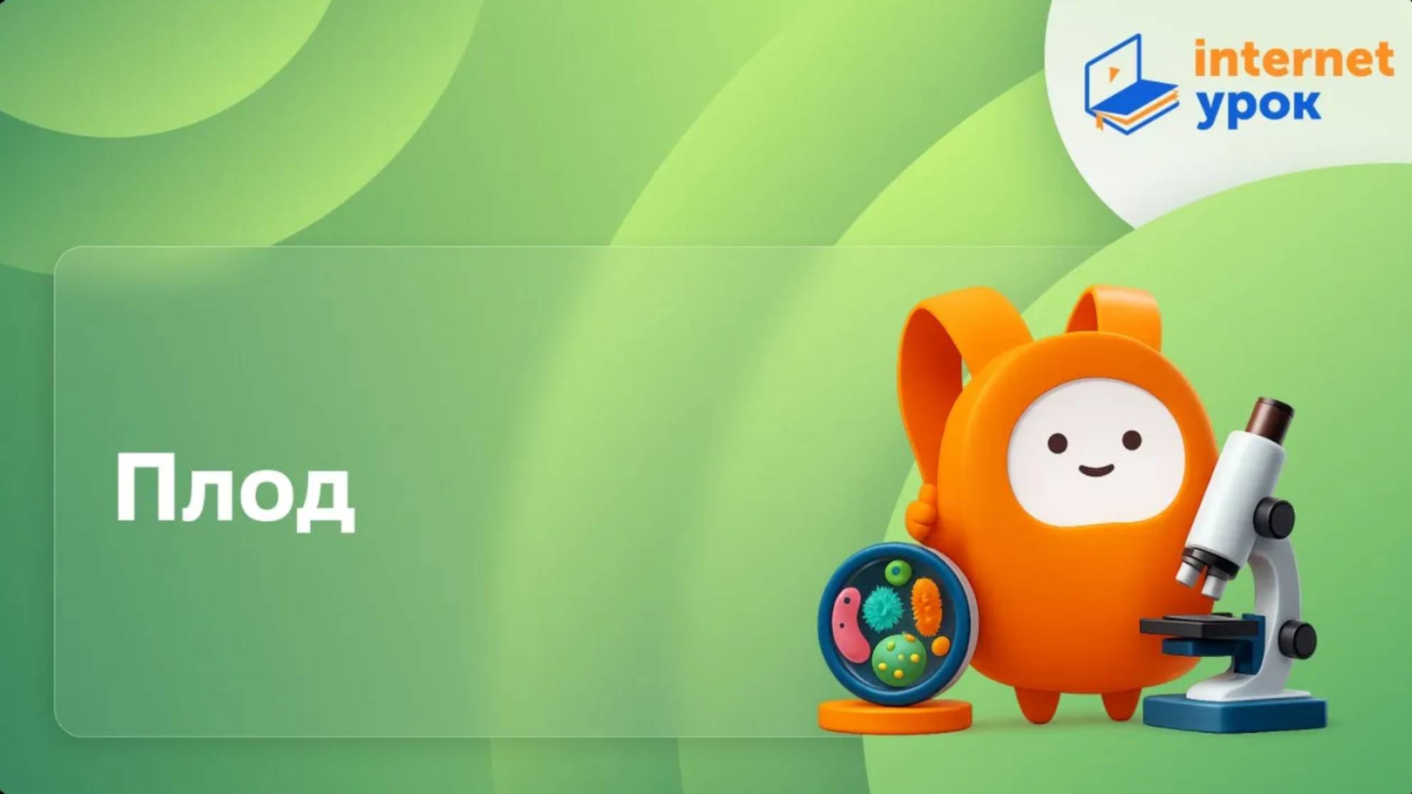 Биология 6 класс. Плод смотреть онлайн