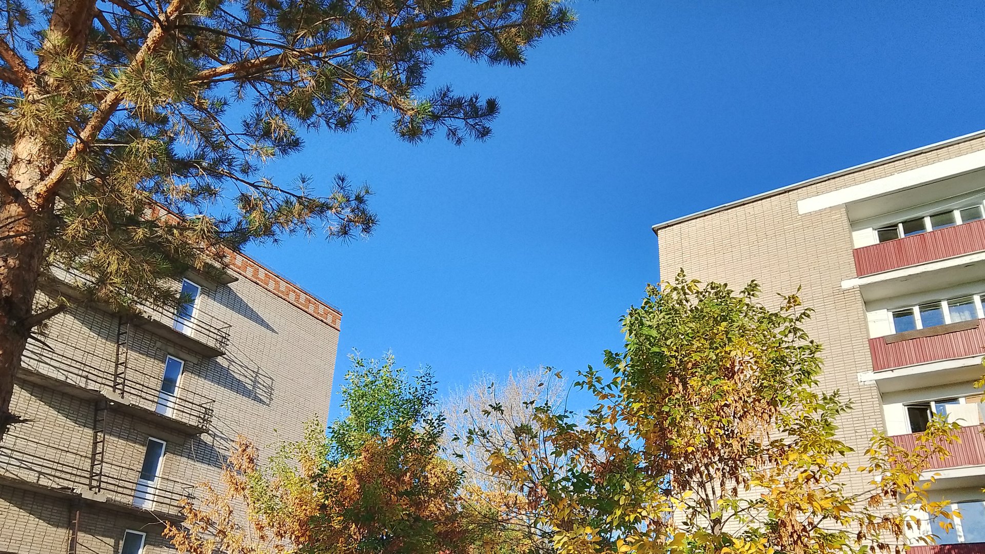 Обживаем комнату в общежитии. Дело привычное смотреть онлайн