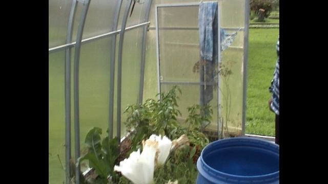 Дача летом смотреть онлайн