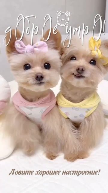 ЛОВИТЕ НАСТРОЕНИЕ БОМБОЙ!