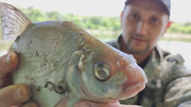 Рыбалка на Дону на донки .Красивая природа. смотреть онлайн