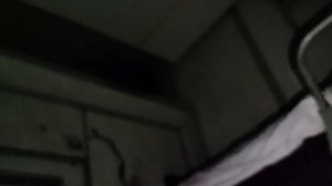 ЖАБУШКА В ПОЕЗДЕ!! ЖАБУ ЗАДАВИЛИ??