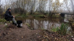 Северный ельчик на поплавочную удочку.