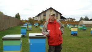 Итоги пчеловодного сезона 2025 года.