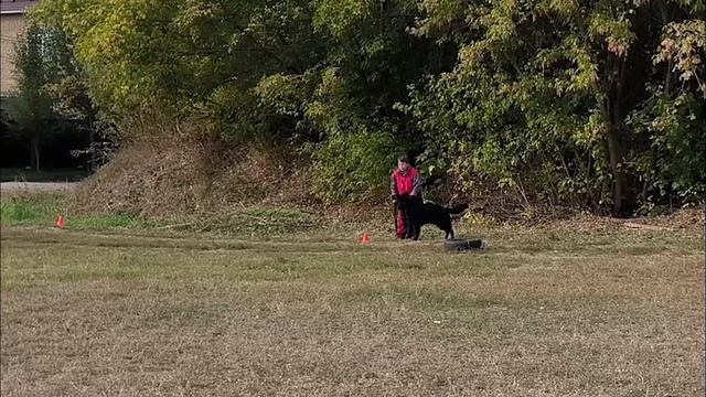 3.  имеется/перв УННА ШВАРЦ (Gardian Of Flokish Fest – Wolfenkraft Yarmila)