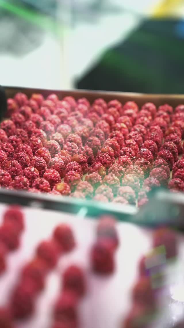 Формовочная машина РФМ CrispyLine смотреть онлайн