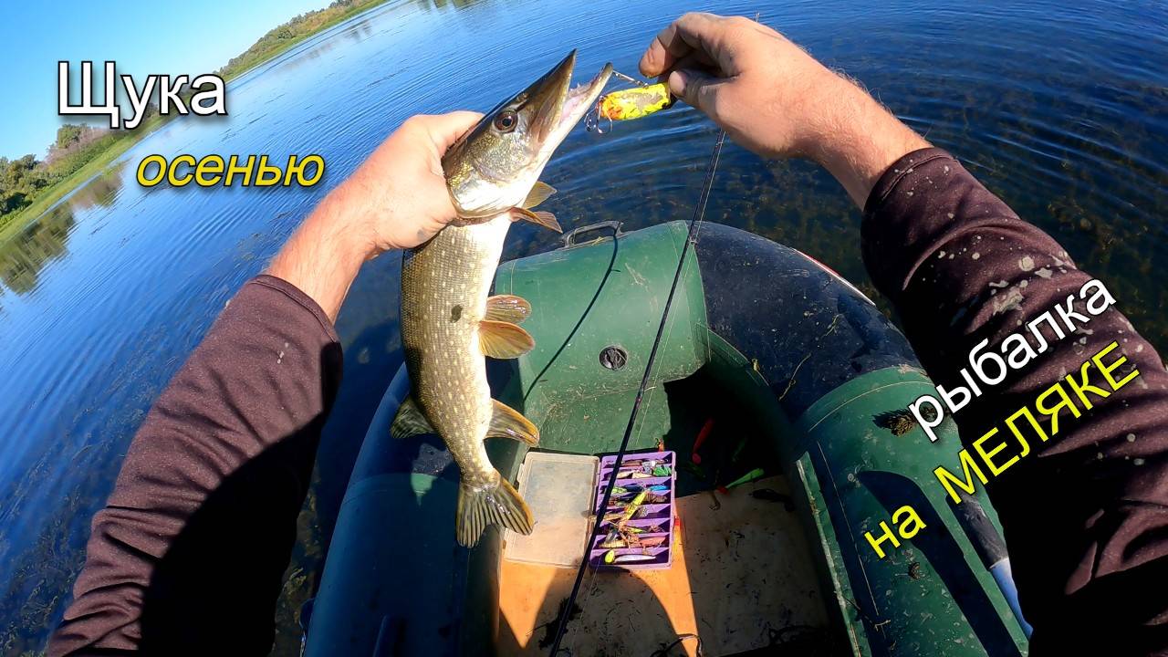 Ловля щуки осенью на меляке. Щука прыгает из травы за силиконовыми приманками смотреть онлайн
