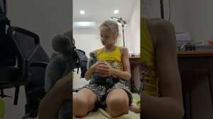 у нас в семье пополнение