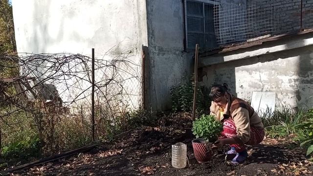 ДЕЛА ВСЕГДА НАЙДУТСЯ, КАНАЛ О ЖИЗНИ ВИКТОРА И СВЕТЛАНЫ смотреть онлайн