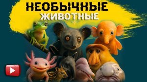 ТОП 9 необычных животных 🌍 О которых ты не знал! | Лило Микки