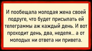 Как тёща обхитрила зятя! Сборник свежих анекдотов! Юмор
