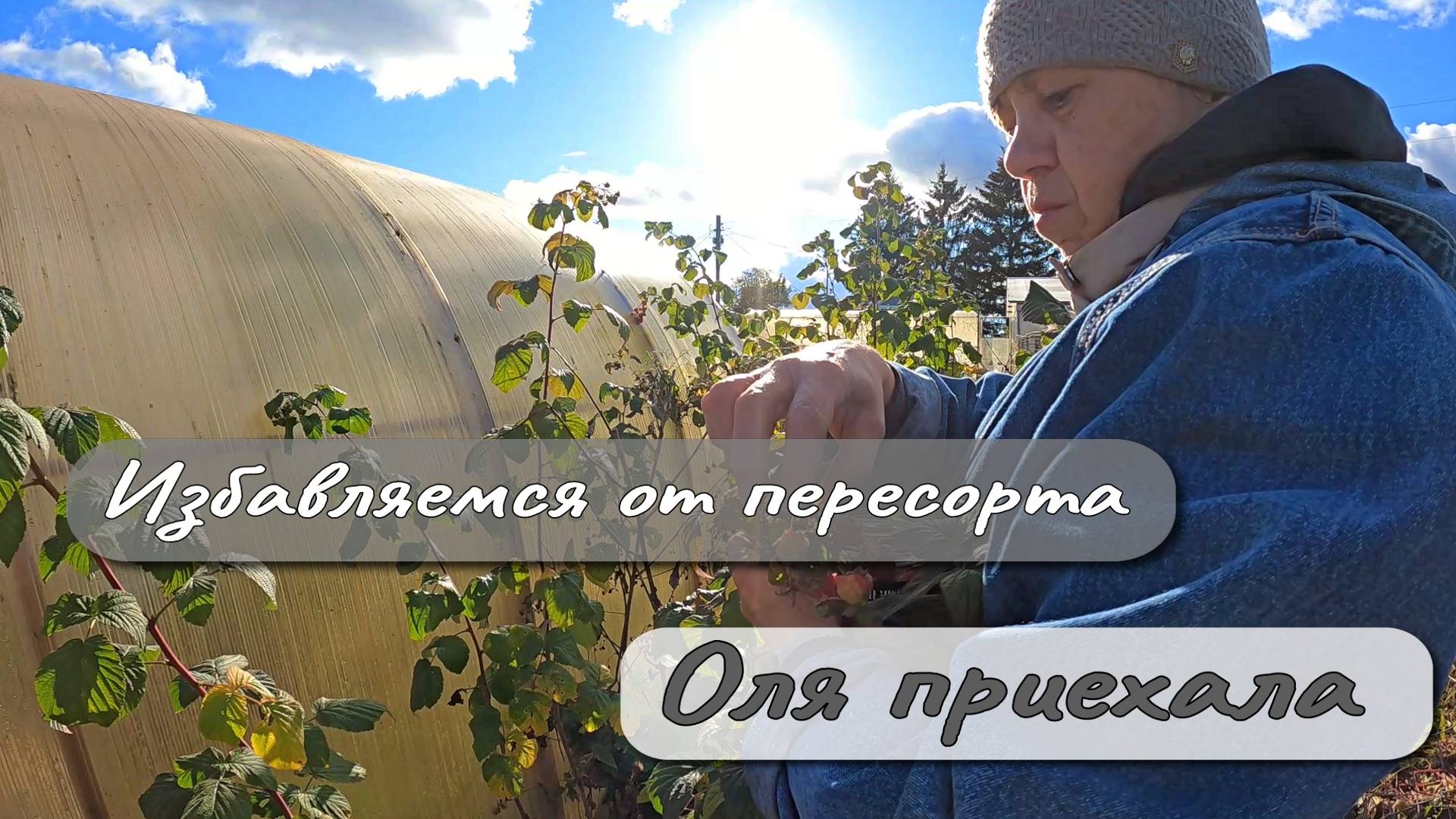 Избавляемся от пересорта Оля приехала смотреть онлайн