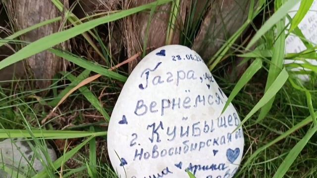 АБХАЗИЯ РАЙ НА ЗЕМЛЕ. любимые цветы🌸🌺🌻🌹🌷🌼💐. смотреть онлайн