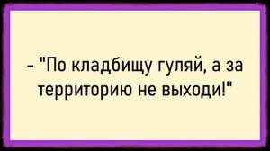 Как Вовочка с Танечкой поспорили! Сборник свежих анекдотов! Юмор