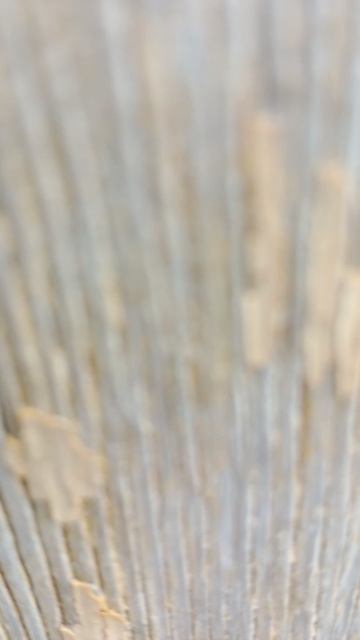 бомба смотреть онлайн