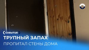 Как жильцы избавляются от трупного запаха в подъезде