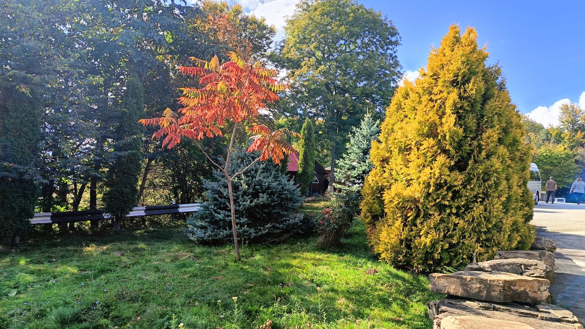 ЭТУ ЧУДНУЮ СТРАНУ ВИДЕЛ КАК- ТО Я ВО СНЕ